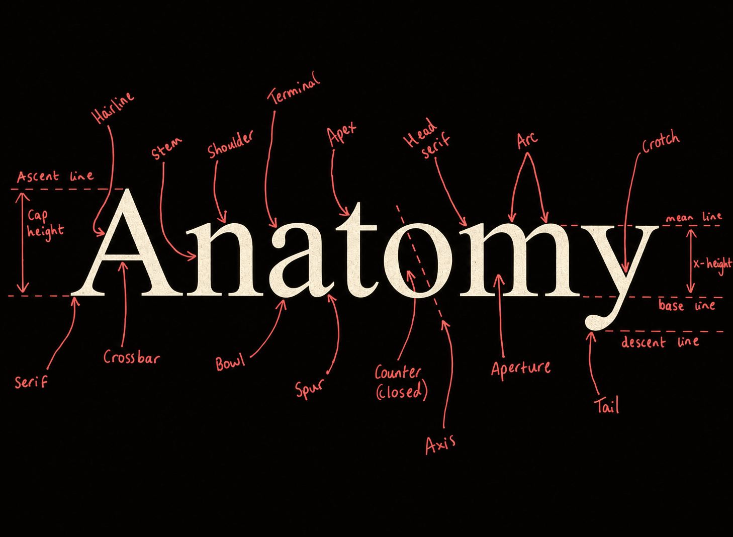 Typographic anatomy diagram labeling serif, bowl, terminal, aperture, crossbar, and other letterform features on the word Anatomy